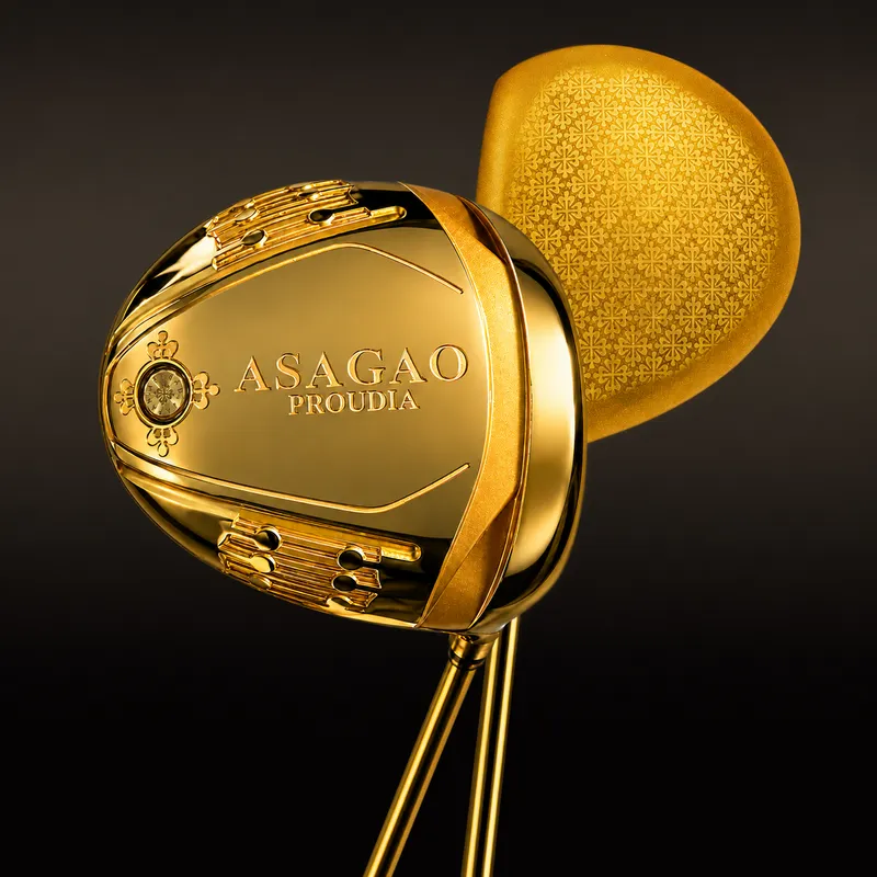 PROUDIA · 24K GOLD LIMITED